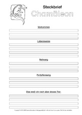 Chamäleon-Steckbriefvorlage-sw-2.pdf